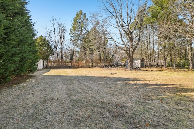 view of yard with a shed, an outdoor structure, and fence