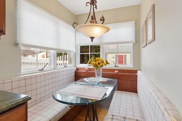 dining area with radiator heating unit and a wealth of natural light