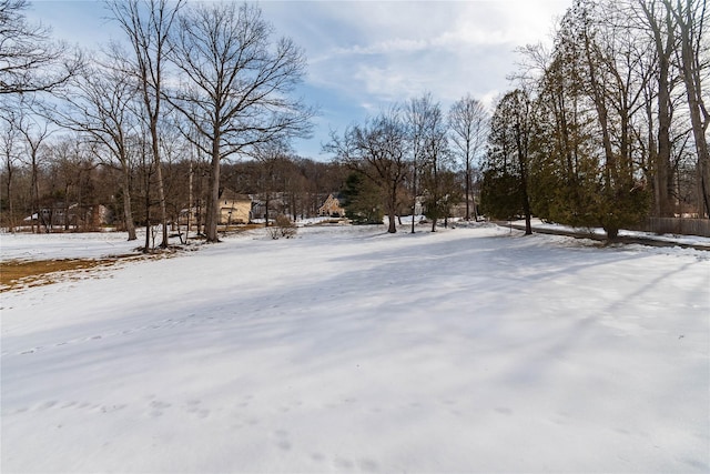 view of yard covered in snow