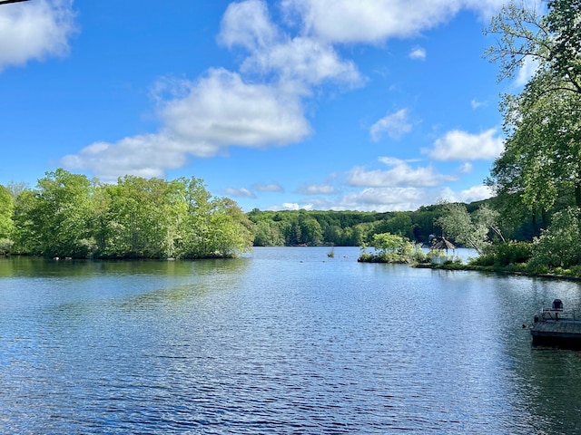 water view with a forest view