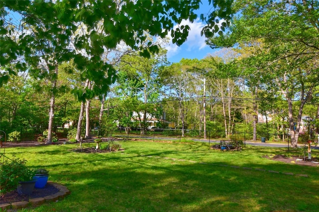 337 Mount Sinai Coram Rd, Mount Sinai, NY 11766 - view of property's community