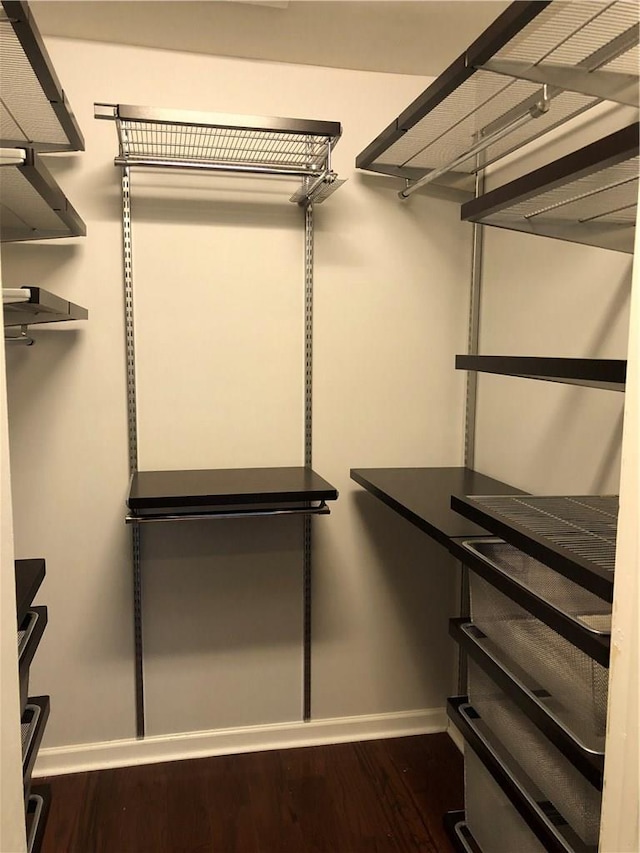 walk in closet featuring dark wood-type flooring