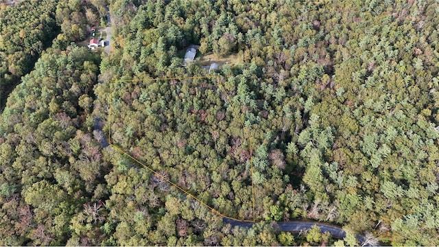 Schultz Hill Rd, Staatsburg NY, 12580 land for sale