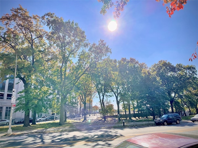 view of street with curbs