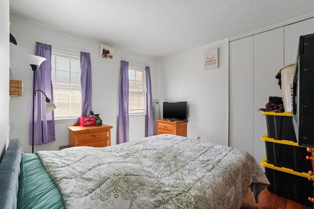 bedroom with a closet, multiple windows, and wood finished floors