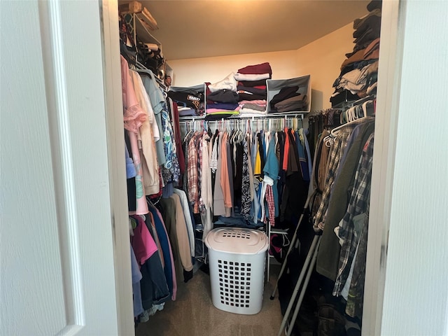 walk in closet featuring carpet floors