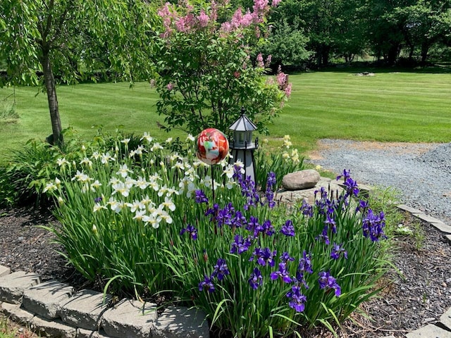 view of community with a lawn