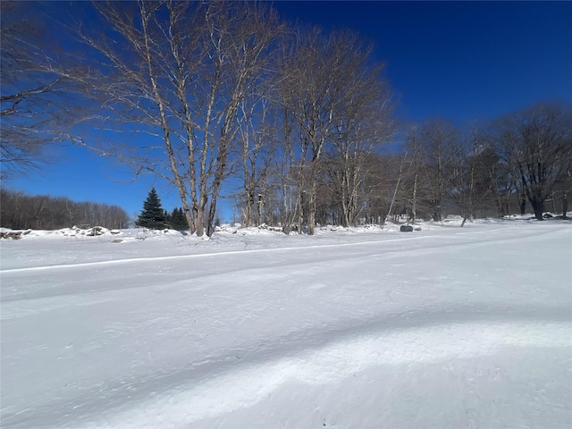 view of snowy yard