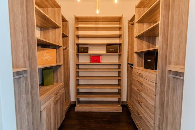 walk in closet featuring dark wood finished floors