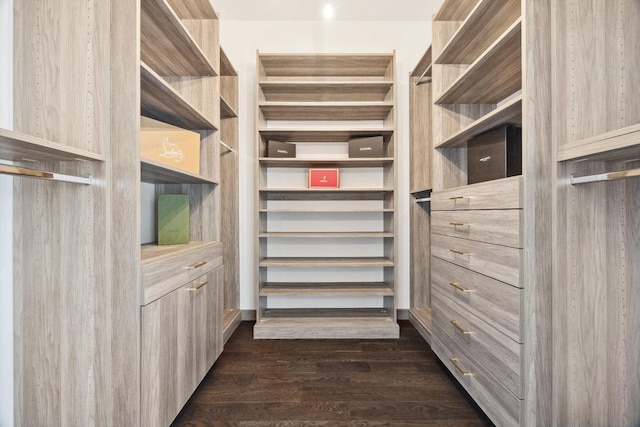walk in closet featuring dark wood-style flooring