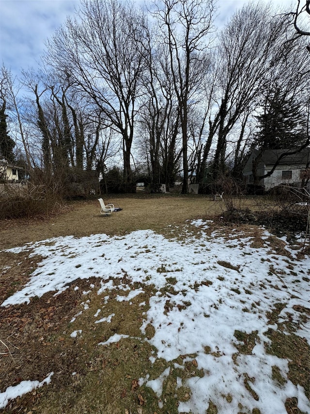 view of yard covered in snow