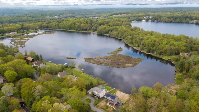61 Surrey St, Rock Hill, NY 12775 - aerial view of property and surrounding area with a heavily wooded area and a nearby body of water