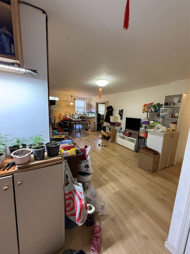 living area with light wood-type flooring