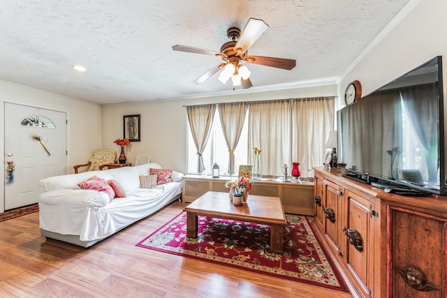 living area with a ceiling fan, light wood-style flooring, ornamental molding, and a textured ceiling