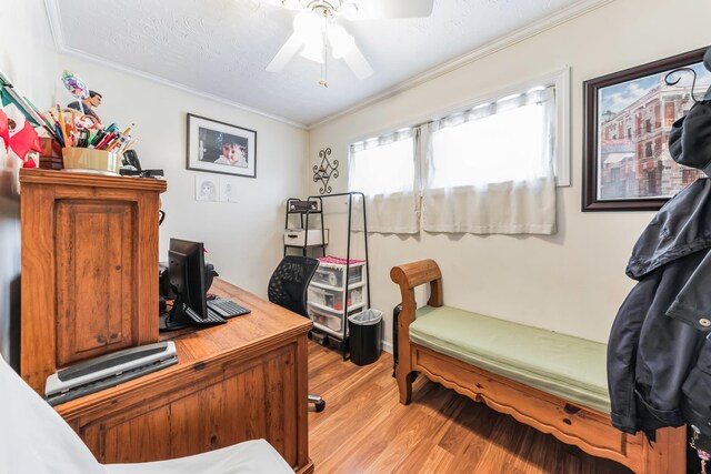 office featuring ceiling fan, ornamental molding, and light wood-style floors