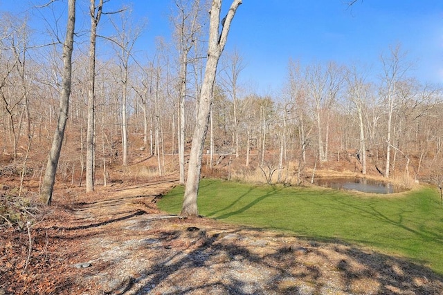 view of yard with a wooded view and a water view