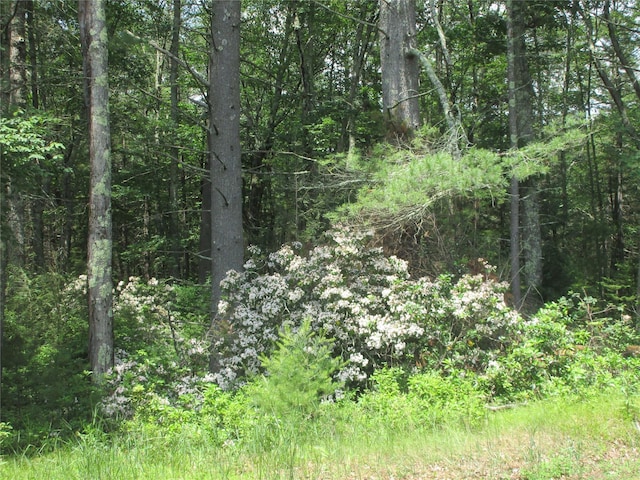 34 Whitehead Rd, Sparrowbush, NY 12780 - photo 9
