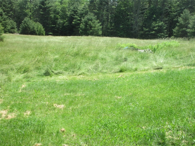 34 Whitehead Rd, Sparrowbush, NY 12780 - photo 11