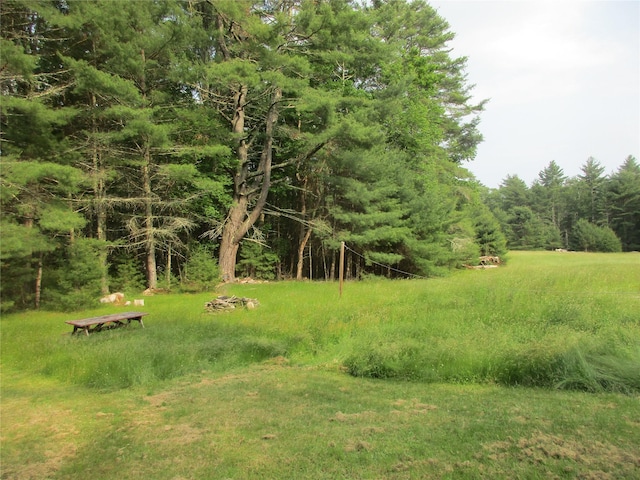 34 Whitehead Rd, Sparrowbush, NY 12780 - photo 12