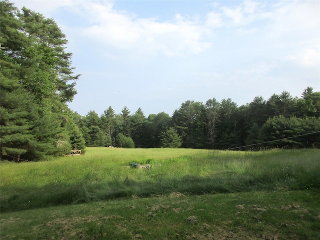 34 Whitehead Rd, Sparrowbush, NY 12780 - photo 13