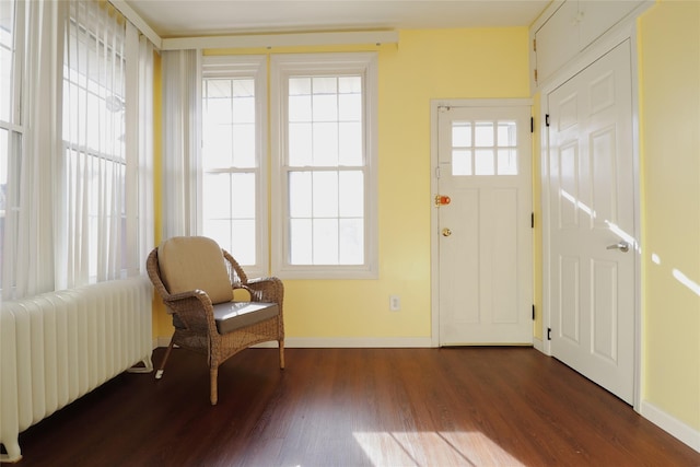 interior space featuring radiator, baseboards, and dark wood finished floors