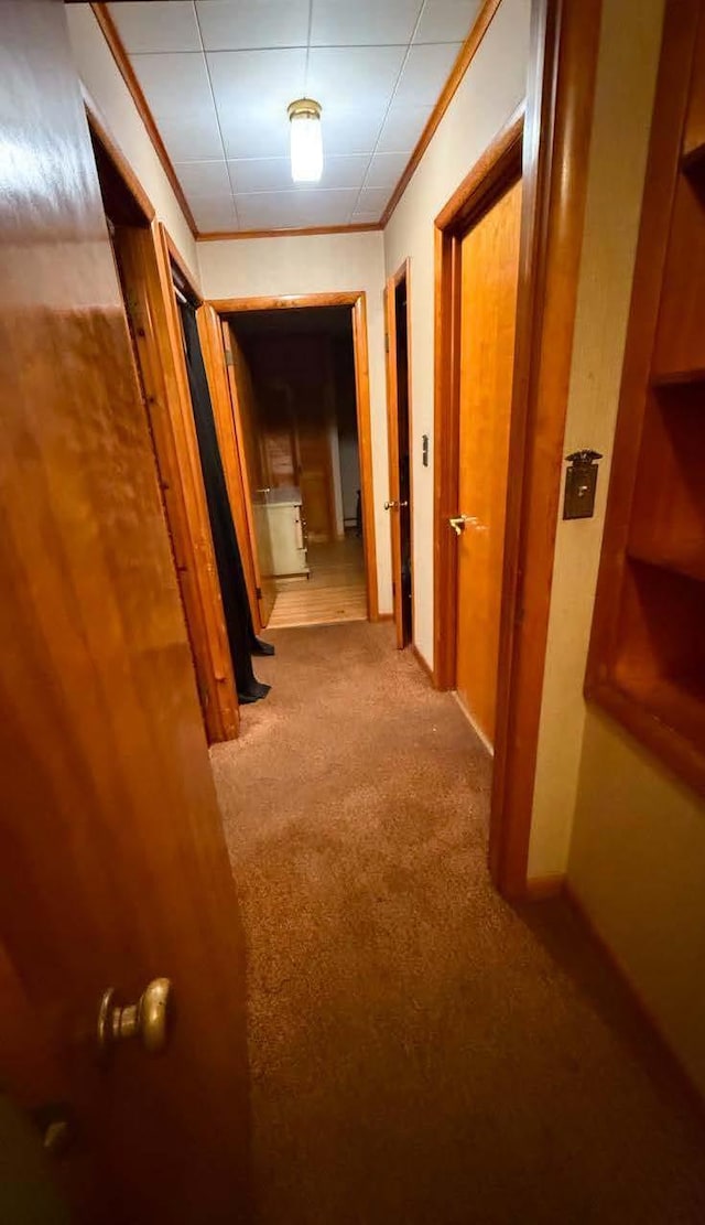 hall with crown molding and light colored carpet