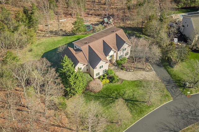 aerial view