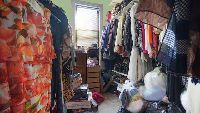 walk in closet featuring carpet