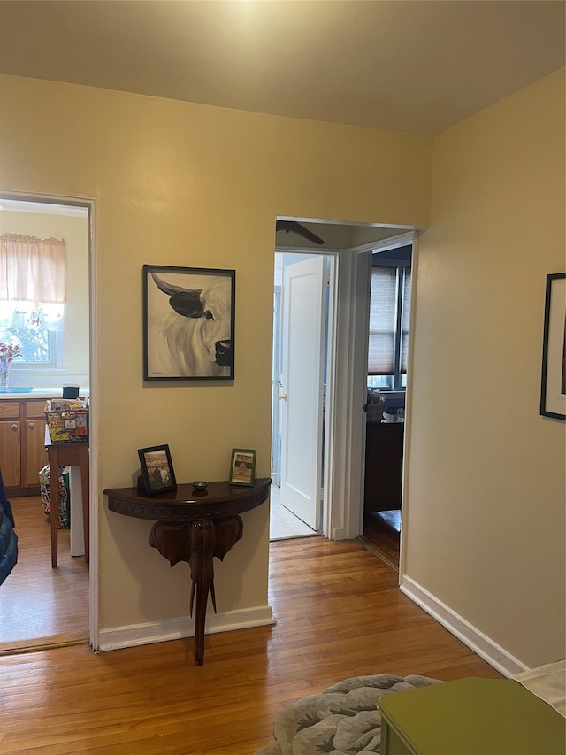 hall with baseboards and light wood finished floors