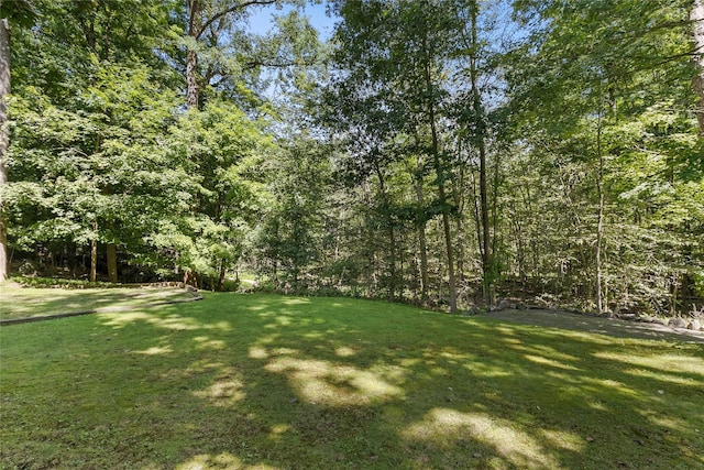 view of yard featuring a wooded view