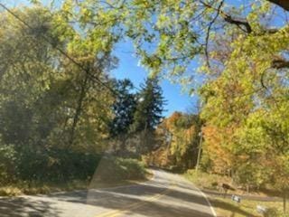 Primrose Hill Rd, Rhinebeck, NY 12572 - photo 4