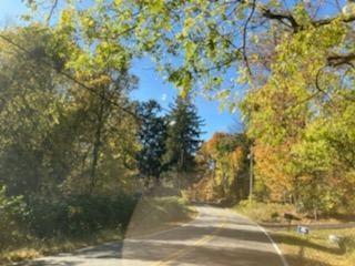 Primrose Hill Rd, Rhinebeck, NY 12572 - photo 5