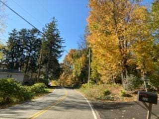 Primrose Hill Rd, Rhinebeck, NY 12572 - photo 6