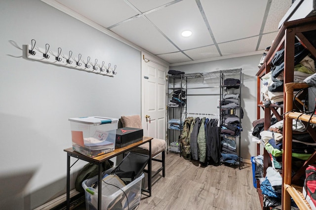 spacious closet featuring wood finished floors and a paneled ceiling