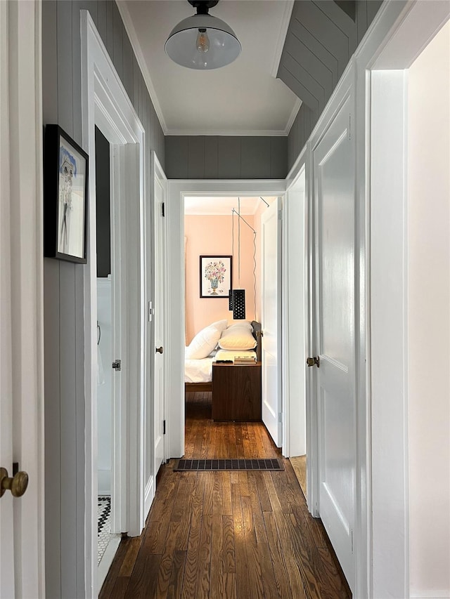 corridor featuring dark wood-type flooring and crown molding