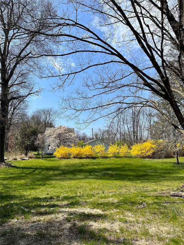 surrounding community featuring a yard