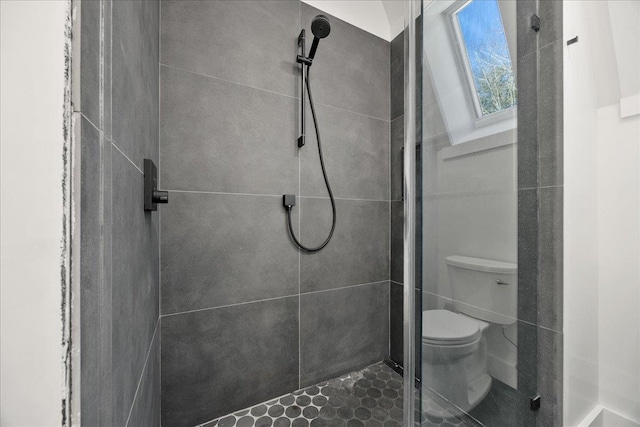 bathroom featuring a shower stall and toilet