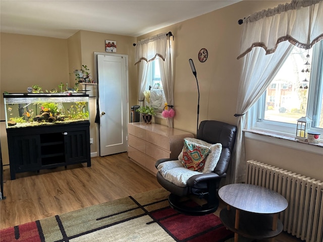 sitting room with radiator heating unit and wood finished floors