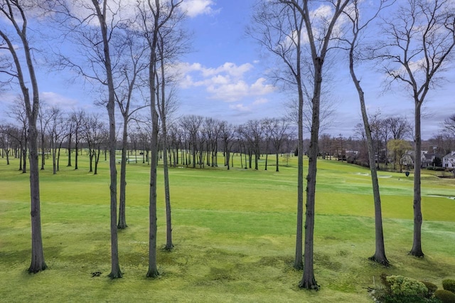 view of home's community with a yard