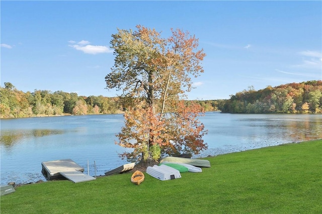 water view with a boat dock and a forest view