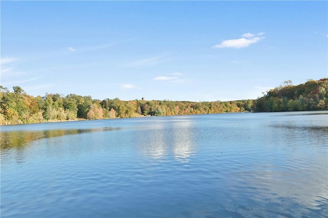 water view featuring a wooded view