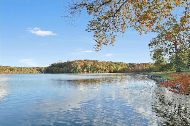 view of water feature with a forest view