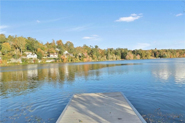 dock area with a water view and a view of trees