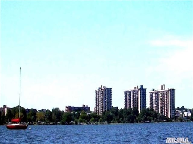 view of water feature featuring a city view