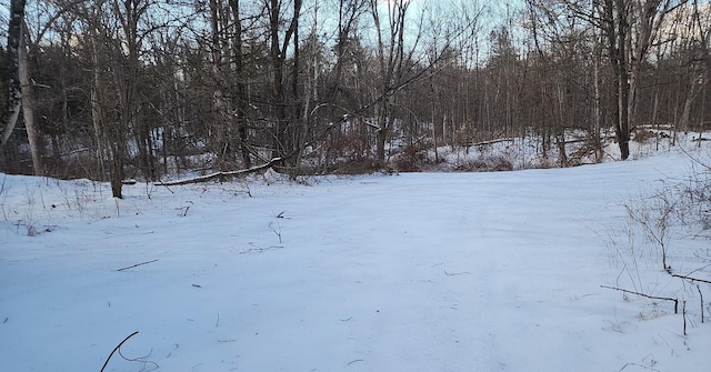 view of yard covered in snow