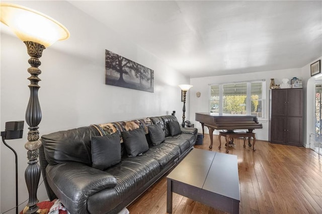 living room featuring wood finished floors