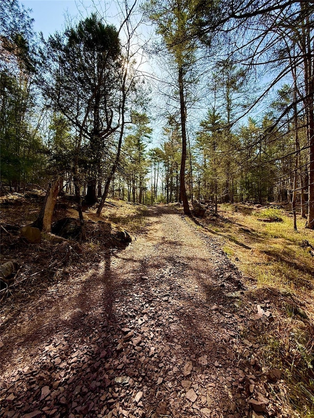 State Route 55, Eldred, NY 12732 - photo 1