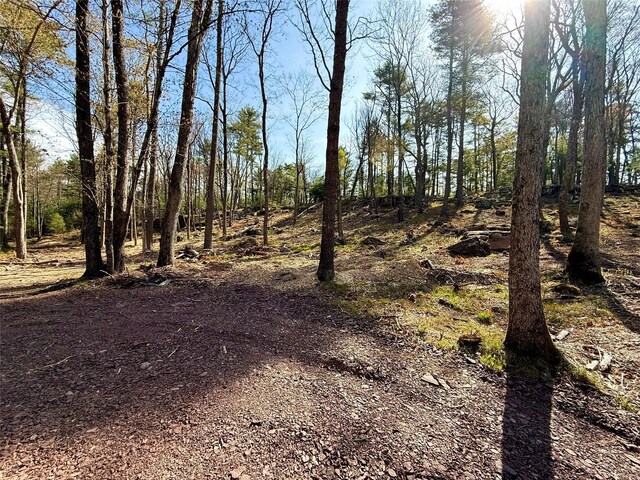 State Route 55, Eldred, NY 12732 - photo 4