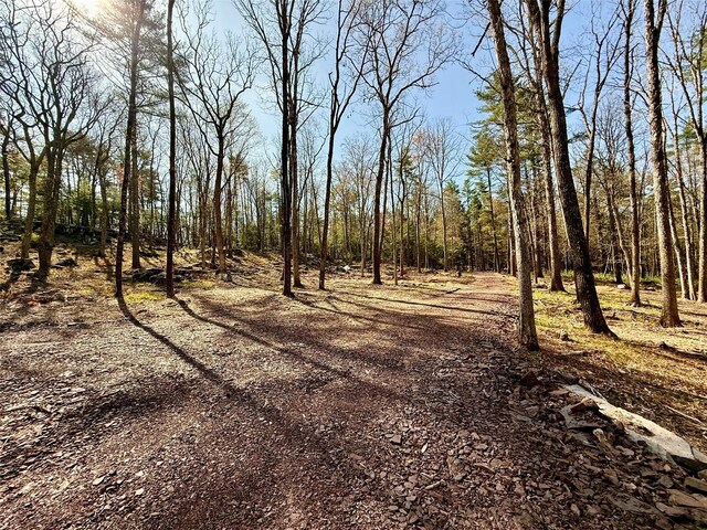 State Route 55, Eldred, NY 12732 - photo 5