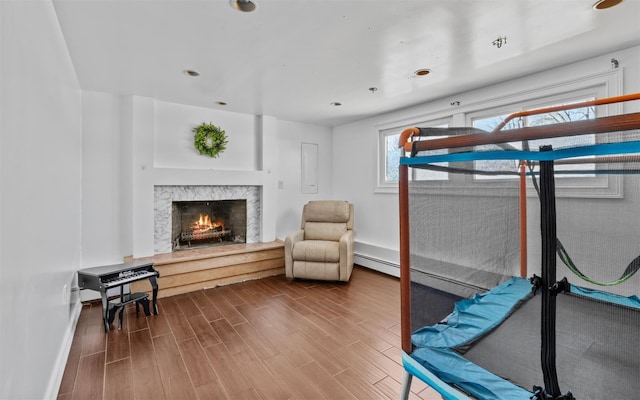 bedroom featuring wood finished floors and a high end fireplace